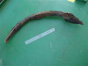 Tarmac_0316: Anchor Fluke